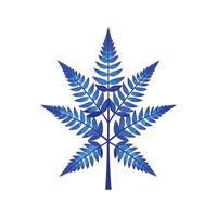 Elegant Blue Star Fern in Bloom vector