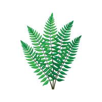 Elegant Boston Fern in Full Growth vector