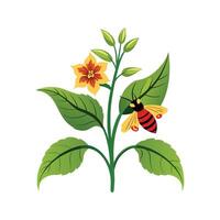 Elegant Bumblebee Mimulus Plant vector