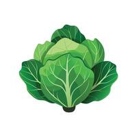 Charming Cabbage Plant Design vector