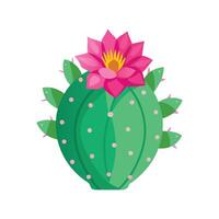 Elegant Echinopsis Cactus Flower vector
