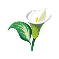 Elegant Calla Lily Plant Design vector