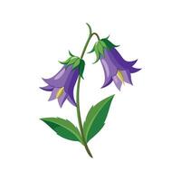 Charming Campanula Plant Design vector