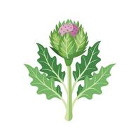 Charming Cardoon Plant Design vector
