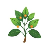 Chitalpa Tree with Vibrant Flowers in Bloom vector