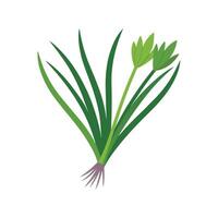 Vibrant Chives Adding Flavor to Dishes vector