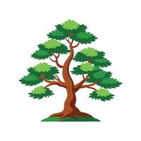 Stunning Chinese Pine Tree in Serene Environment vector