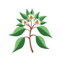 Stunning Chitalpa Tree Adding Color to Landscape vector