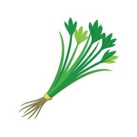 Nutritious Chives Plant for Culinary Use vector