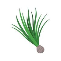 Charming Chives Adding Freshness to Dishes vector