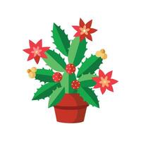 Vibrant Christmas Cactus in Lively Indoor Space vector