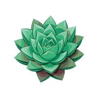 Charming Common Houseleek Adding Greenery to Garden vector