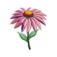 Beautiful Coneflower Adding Color to Landscape vector