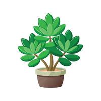 Stunning Crassula Ovata Showcasing Unique Shape vector