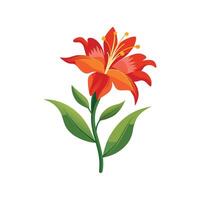 Vibrant Crocosmia Adding Color to Landscape vector