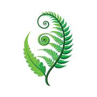 Lush Curly Fern Adding Texture to Garden vector