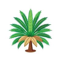 Beautiful Cycas Revoluta Adding Texture to Landscape vector