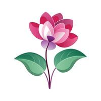 Charming Cyclamen Persicum Adding Charm to Home vector