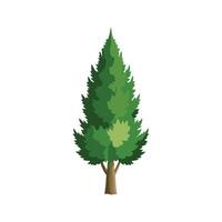 Elegant Cypress Plant Adding Character to Garden vector