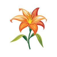 Beautiful Daylily Hemerocallis Adding Color vector