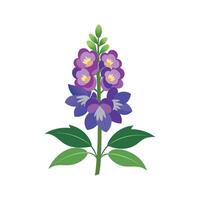 Vibrant Delphinium Blooming in Garden vector