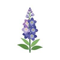 Stunning Delphinium Showcasing Bright Colors vector
