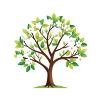 Elegant Dogwood Tree for Natural Spaces vector