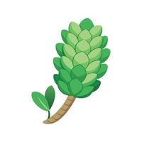 Stunning Donkey's Tail Adding Interest to Garden vector