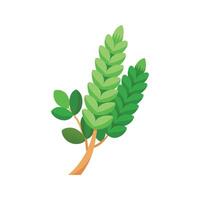 Charming Donkey's Tail for Unique Decor vector