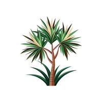 Lush Dracaena Marginata Adding Charm to Decor vector