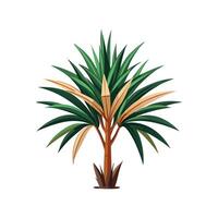 Charming Dracaena Marginata for Indoor Spaces vector
