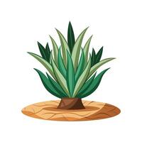 Beautiful DroughtTolerant Plant Adding Interest vector