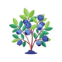 Elegant Dwarf Blueberry for Fruit Lovers vector