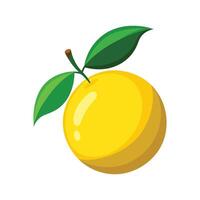 Vibrant Dwarf Meyer Lemon Adding Flavor vector