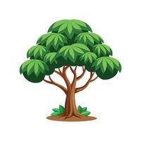 Elegant Dwarf Umbrella Tree for Stylish Interiors vector