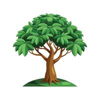 Stunning Dwarf Umbrella Tree in Natural Habitat vector