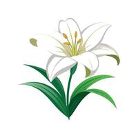 Vibrant Easter Lily Showcasing Unique Blooms vector