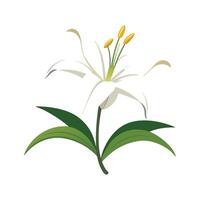Beautiful Easter Lily Adding Color to Landscape vector