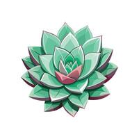 Vibrant Echeveria for Indoor Spaces vector