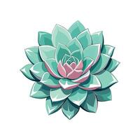Lush Echeveria Adding Character to Home vector