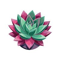 Lush Echeveria Agavoides Adding Character vector