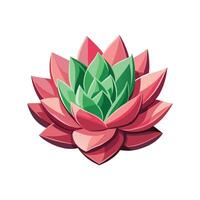 Beautiful Echeveria Agavoides Adding Texture vector