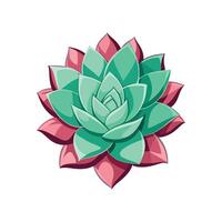 Vibrant Echeveria Lola Adding Color to Home vector