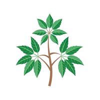 Beautiful Fatsia Adding Texture to Landscape vector
