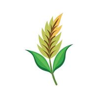 Beautiful Feather Plant Adding Elegance vector