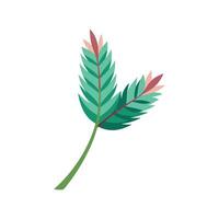 Vibrant Feather Plant for Indoor Spaces vector