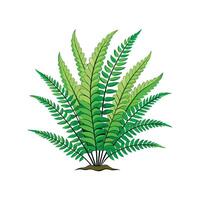 Charming Fern Fraction for Indoor Spaces vector
