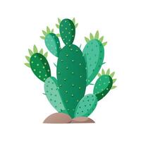 Stunning Fernleaf Cactus in Natural Setting vector