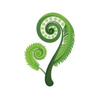 Charming Fiddlehead Fern Design vector
