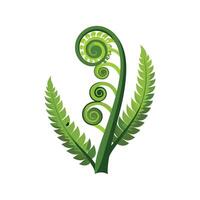 Elegant Fiddlehead Fern Artwork vector